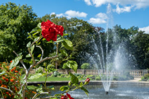 Ein Tag im Park