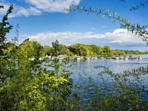 Ein weiterer Sommer im Osten